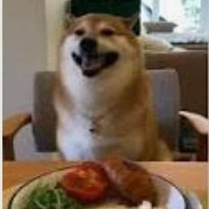 Meet your Posher, Zlatan